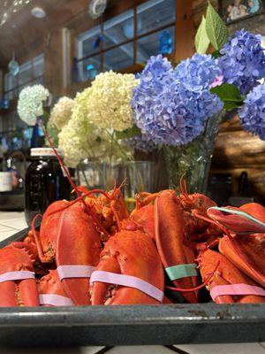 Lobster with flowers