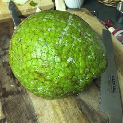 Lovely breadfruit!