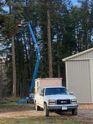 K W Tree Topping & Trimming