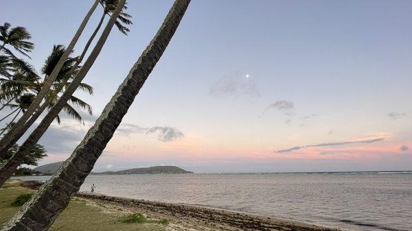 beach view