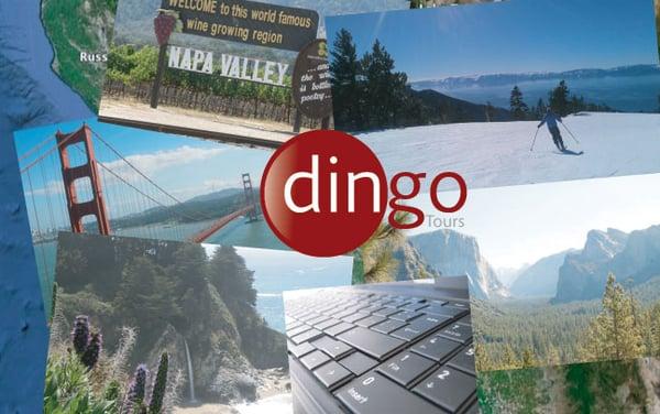 Dingo Tours