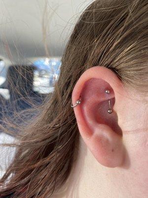 Rook and cartilage