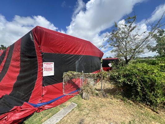 TENTING FOR TERMITES WITH VIKANE GAS