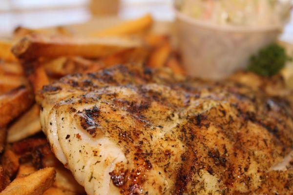 Seafood Restaurant | Gulf Grouper | Pinchers | Florida