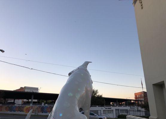 10/27/18 Saturday evening. Art the giant colorful (he glows at night) Dalmatian in front of SRAC. Downtown Shreveport. Passing car for scale