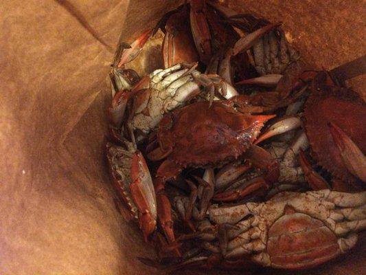 20 tiny crabs not worth it at all