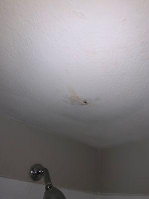 leaking ceiling