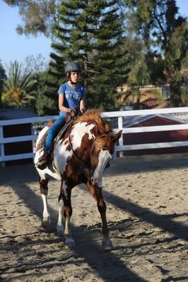 Emily and Teekee working at the lope in their lesson