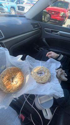 everything bagel left (honey walnut) right (blueberry)