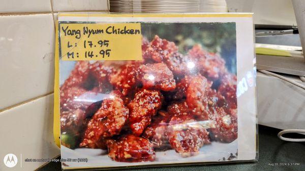 The BEST! Yang Nyum Chicken. Try a full order plate.