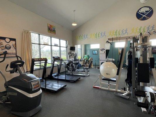 Therapy gym