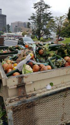 Whole Food's Produce waste - 3 large dumpsters full today!