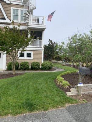 New planting installed new mulch, and shrubs trimmed