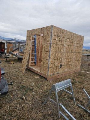 Here is a shed build we did! Excellent work!