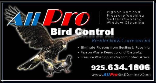 All Pro Bird Control