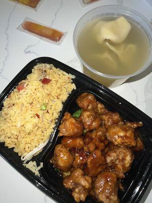 119. General Tso's Chicken and wonton soup