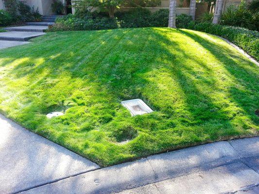 Orchid Lawn Care Sacramento Service