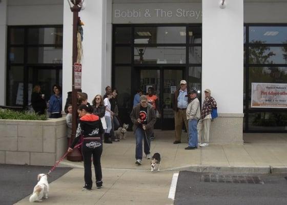 Bobbi and the Strays Adoption Center