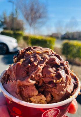 Reese's Peanut Butter Ice Cream