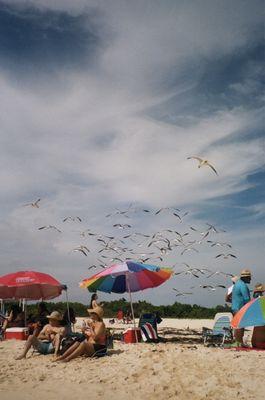 Beach film pic