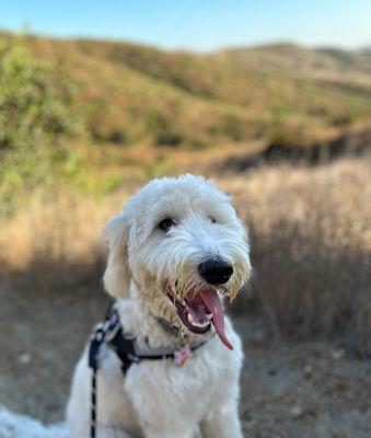 Santiago Oaks Regional Park