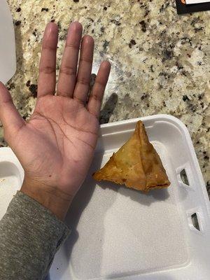 Small Samosa