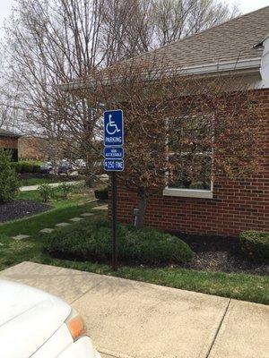 Each corner of the office building has flowering shrubs to enhance the appearance.