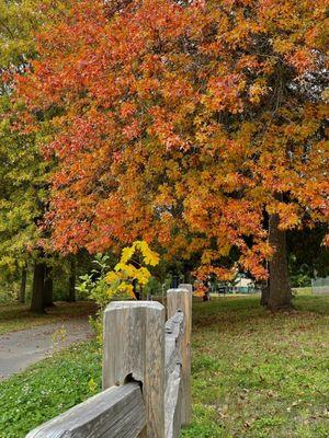 Along the trail