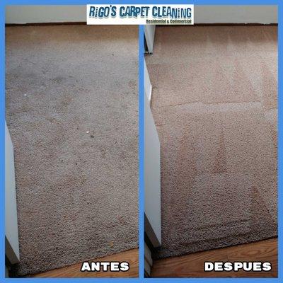 Rigo's Carpet Cleaning