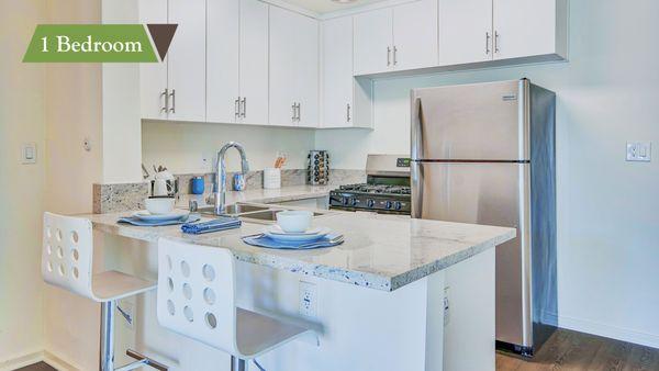 Kitchen in One-Bedroom at Villa Vicente Apartment Homes