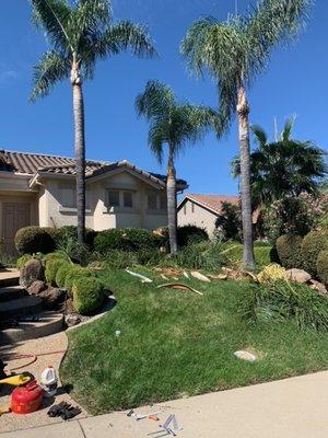 Nolasco Landscaping & Tree Services