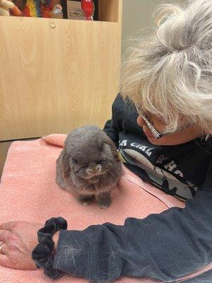 Little mommy bunny visit while is hospitalized