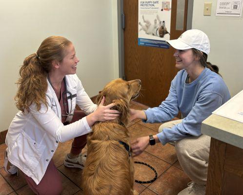 Companion Animal Hospital of Fountain City