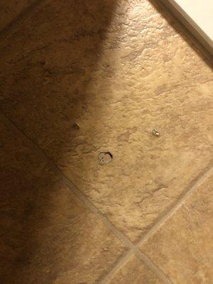 Holes (he made) in the floor just outside the bathroom.