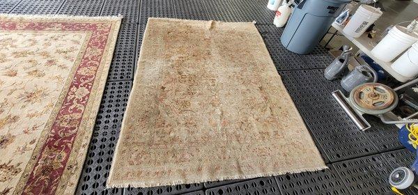 Wool with cotton fringe, hand knotted area rug