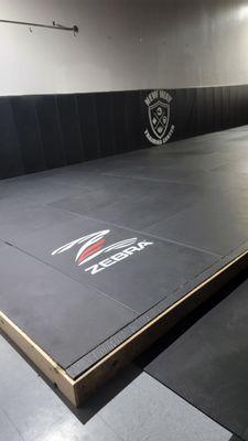 Elevated Jiujitsu training space.