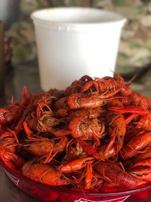 Crawfish