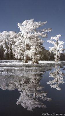 A beautiful lake