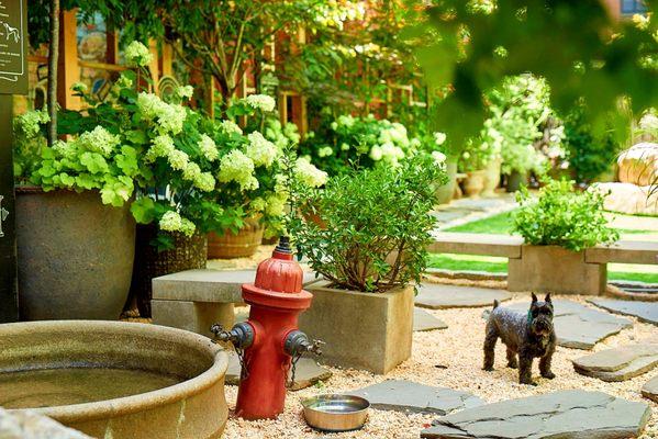 Soho Grand Hotel | Private Dog Park