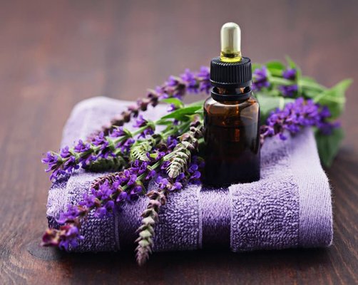 Essential Oils heal Emotional, Mental, and Physical Health.