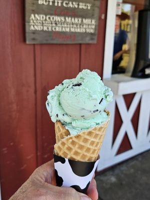 Mint Chocolate Chip on a waffle cone