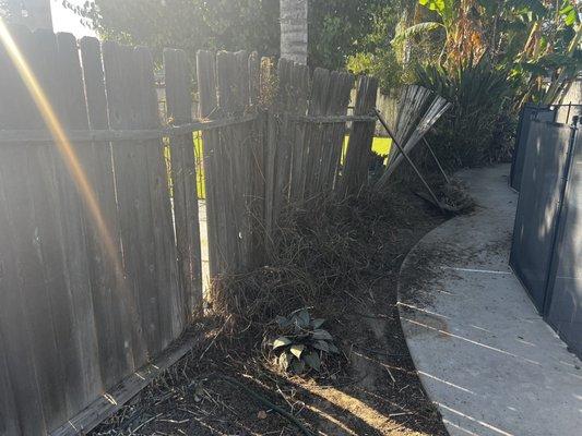 Rotted fence