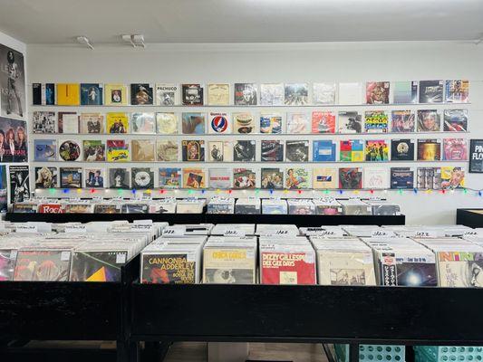 Look at that record wall! Amazing selection!