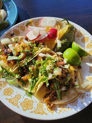 Tacos de asada and al pastor