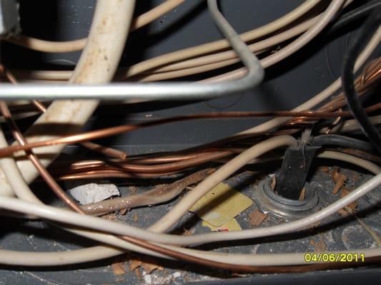 Over Heated  Electrical Conductors