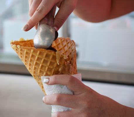 Igloo Ice Cream Shop