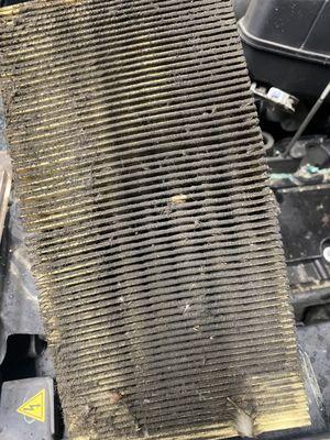 My air filter that obviously was never changed either