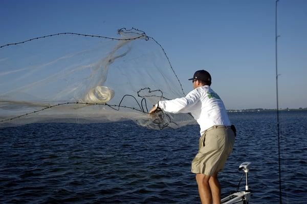 Throwing the net to catch bait.