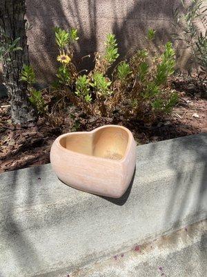 Such a cute and affordable pot!!