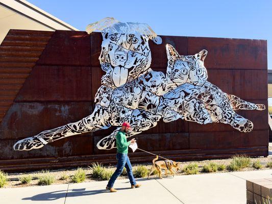 Pima Animal Care Center